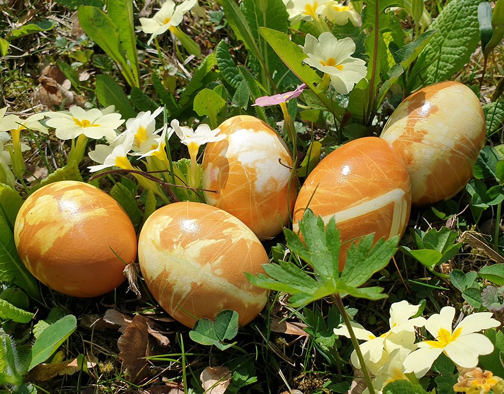 Colorare le uova di Pasqua in modo naturale: La curcuma rende le uova