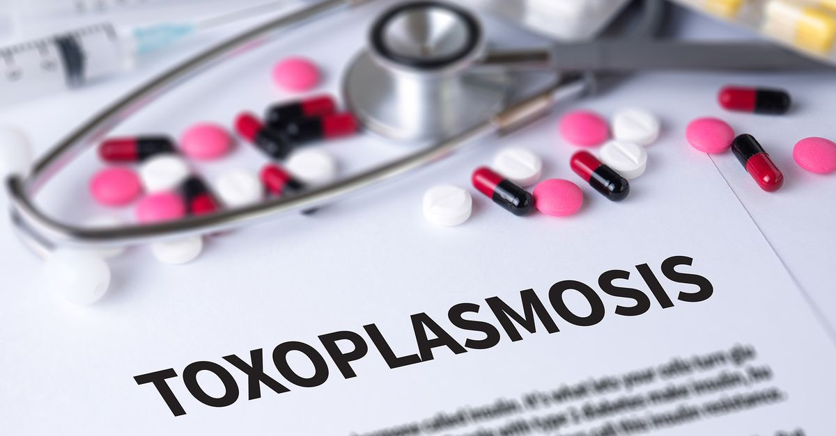 Ist Toxoplasmose ein Risiko für mein ungeborenes Kind? MiBon