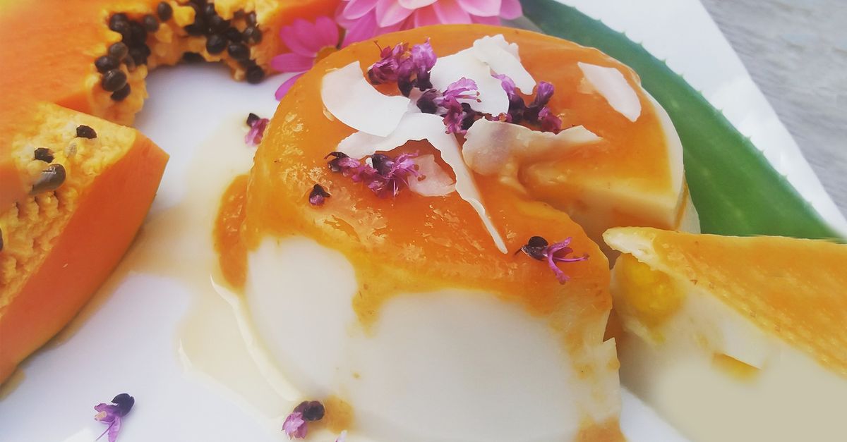 Veganes Panna Cotta mit Papayacreme - MiBon