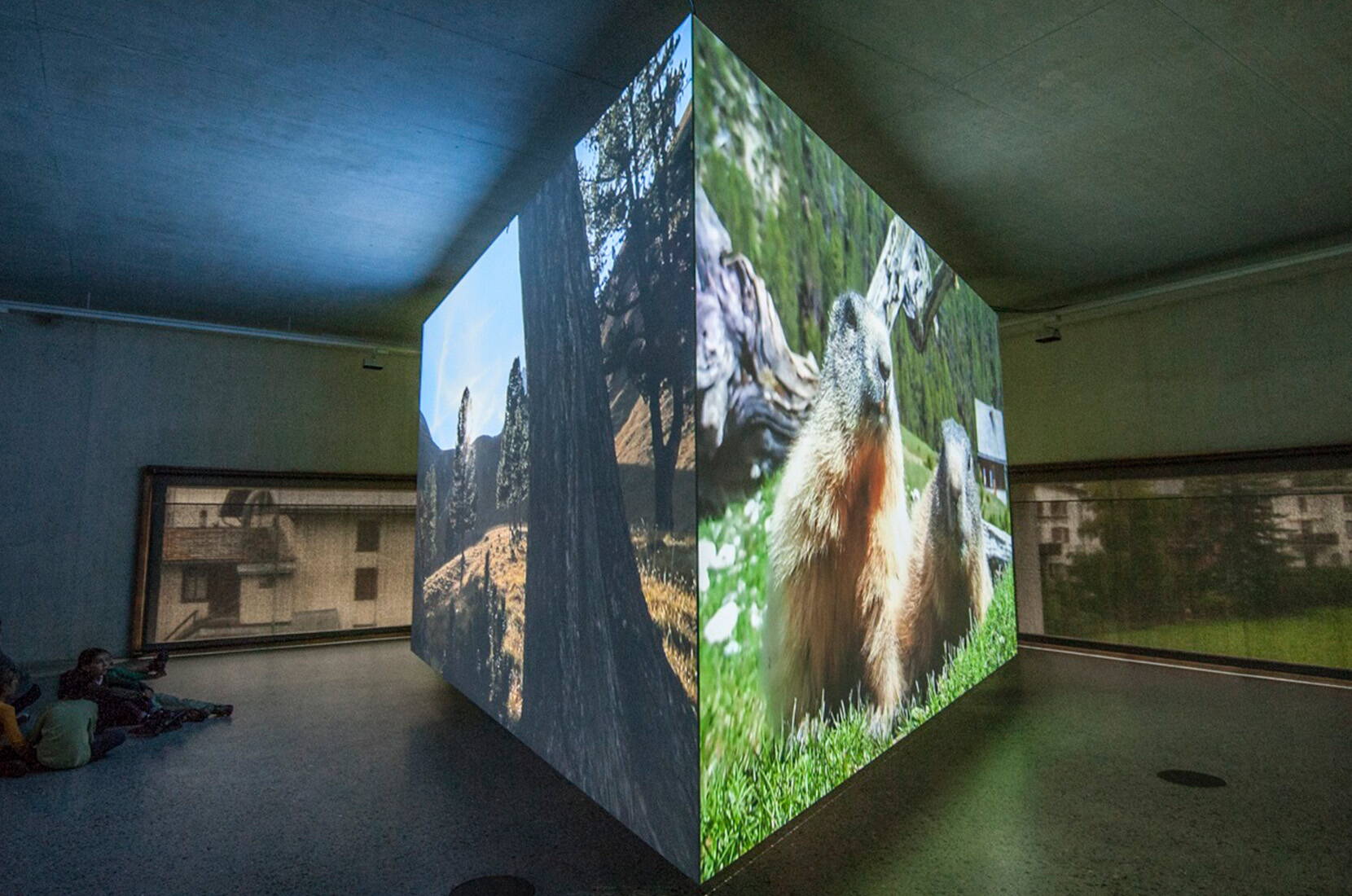 Al Centro del Parco Nazionale di Zernez potrete vivere da vicino le meraviglie della natura! Cos'è questo misterioso crepitio e sussurro dietro la cortina di ghiaccio?