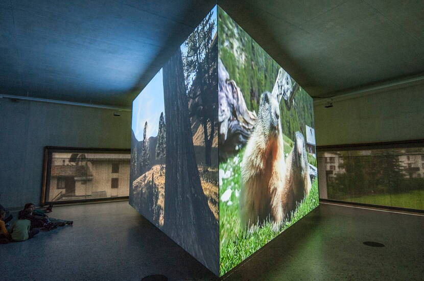 Zoom: Al Centro del Parco Nazionale di Zernez potrete vivere da vicino le meraviglie della natura! Cos'è questo misterioso crepitio e sussurro dietro la cortina di ghiaccio?