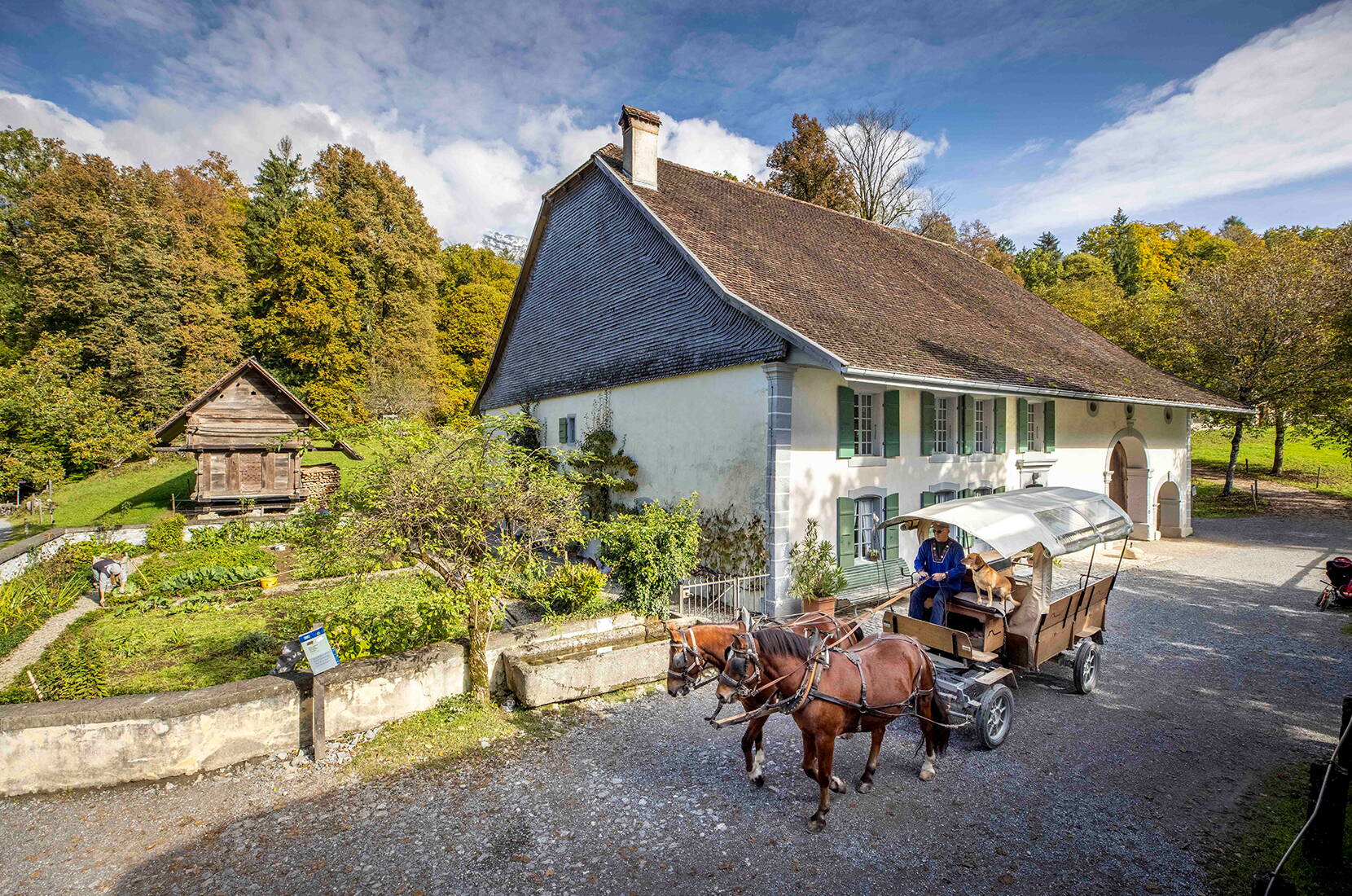 Scopri la Svizzera in un solo luogo! 110 edifici provenienti da tutte le regioni del paese, 200 animali da fattoria e 30 mestieri artigianali storici ti aspettano nel museo all'aperto Ballenberg.