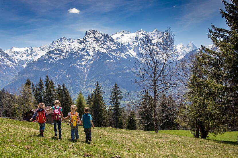 Zoom: Familienausflug Kugelweg Hasliberg. Auf dem Wanderweg Bidmi – Hasliberg Reuti erwarten euch zehn spannende und abwechslungsreiche Kugelbahnen.