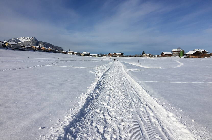 Zoom: Excursion familiale de randonnée hivernale à Aeschi. Plus de 20 kilomètres de chemins de randonnée hivernale tracés/préparés et signalisés avec une vue magnifique sont à disposition dans et autour d'Aeschi. De nombreux restaurants vous invitent à vous réchauffer en chemin.