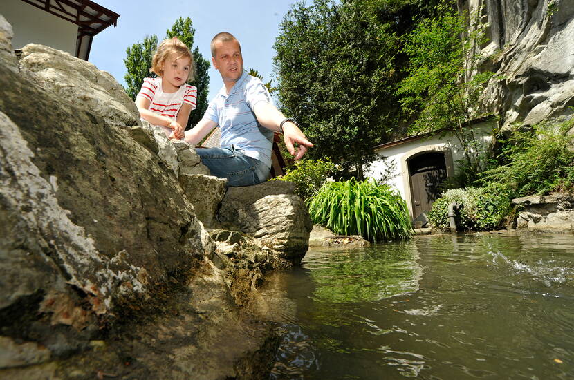 Zoom: Komme mit auf eine Entdeckungsreise in unseren lauschigen Park. Erfahre im Museum mehr über die jüngste Erdgeschichte der Schweiz und die Geschichte Luzerns und lasse dich verwirren im «schönsten Spiegellabyrinth der Erde.»