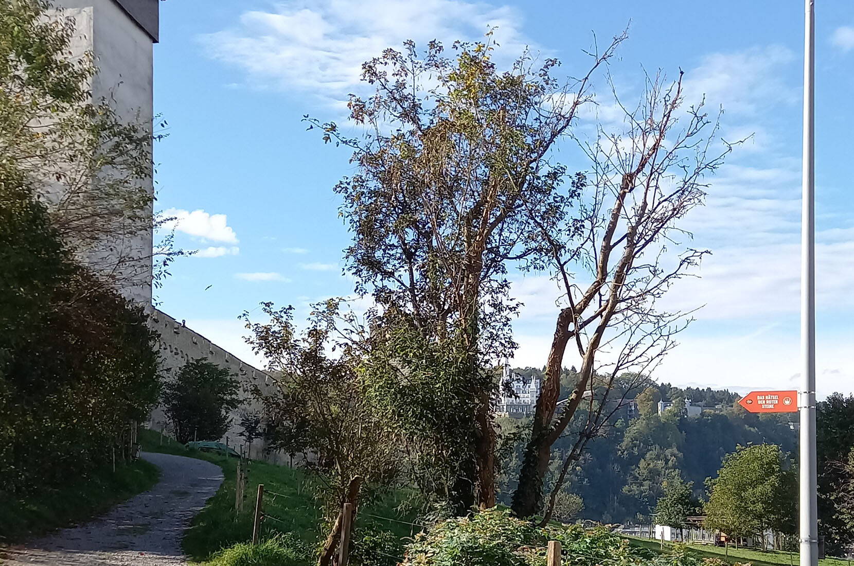 L'avventura culturale di Lucerna presso il centro culturale Hinter Musegg è una caccia al tesoro in cui i tesori della natura sono resi visibili e la storia prende vita. 