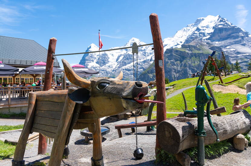 Zoom: Der Spielplatz auf dem Allmendhubel bietet allen Kindern viel Spass
