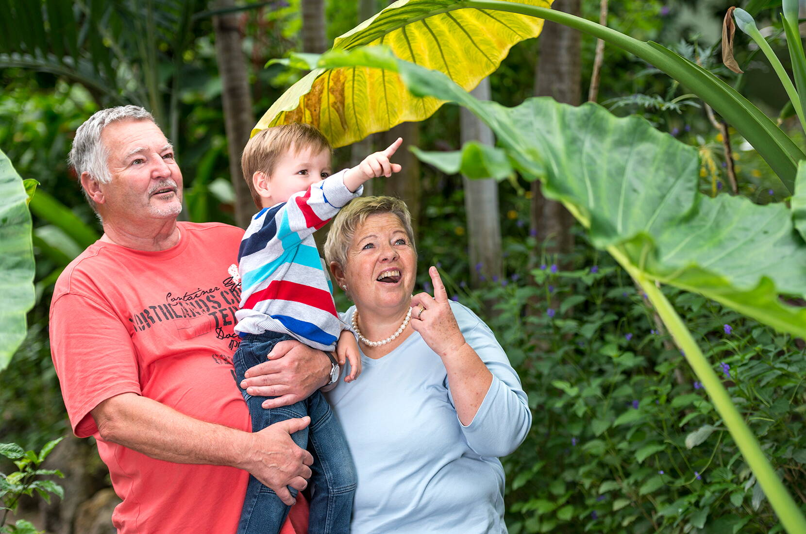 Excursion en famille au Papiliorama. Promenez-vous dans le Jungle Trek, une véritable jungle avec de nombreux oiseaux colorés, des pécaris et explorez le monde tropical sur le pont à travers les hautes cimes des arbres. 