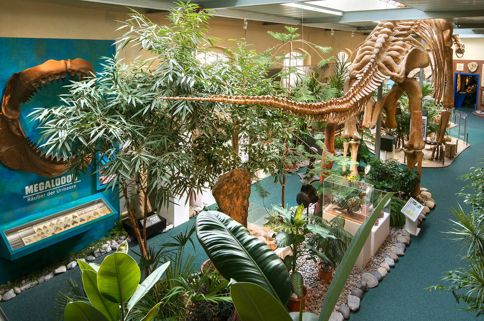 Im Sauriermuseum Aathal werden neben vielen Dinosauriern auch andere Giganten der Urzeit gezeigt und du kannst die Wunder der Natur – die Fossilien – entdecken.