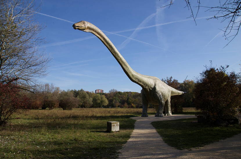 Zoom: Der Park «im Grünen» bietet allen Besuchern das Passende. Tiere, Pflanzen, Skulpturen, Minigolf, Karussell sowie einen grossen Kinderspielplatz.