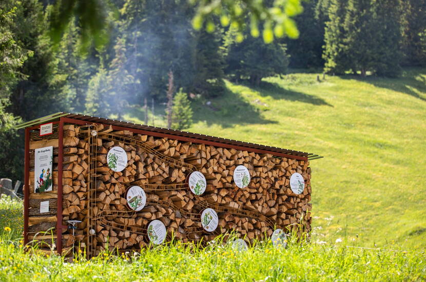 Zoom: Familienausflug Globi Wanderweg – Auf dem einzigen Globi Wanderweg der Schweiz erklärt Globi an 13 Posten Themen wie Natur und Technik auf spielerische Art und Weise.