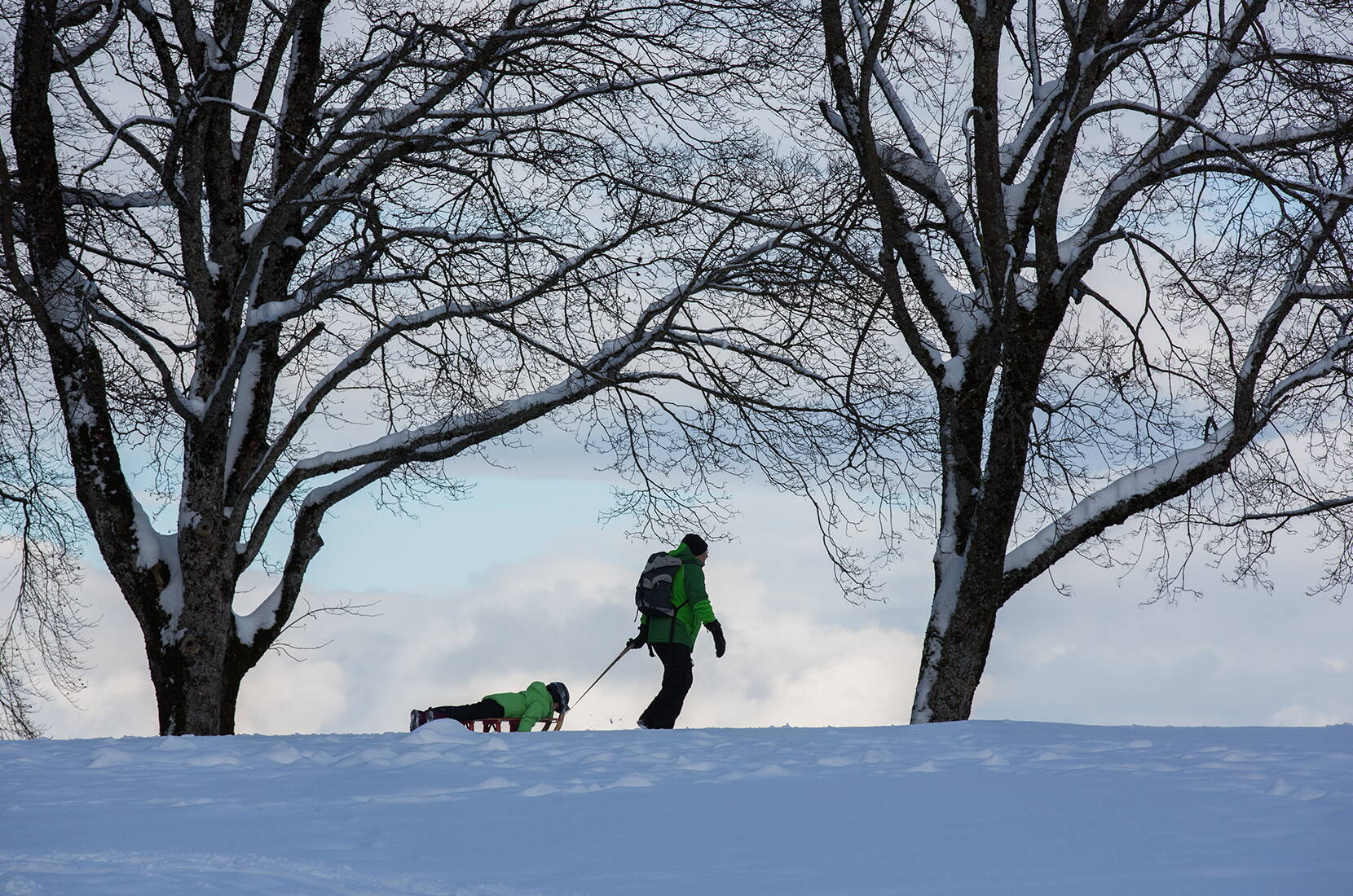 Escursione per famiglie a Berna: se la neve è sufficiente, è possibile andare in slitta sulla montagna locale di Berna, il Gurten.