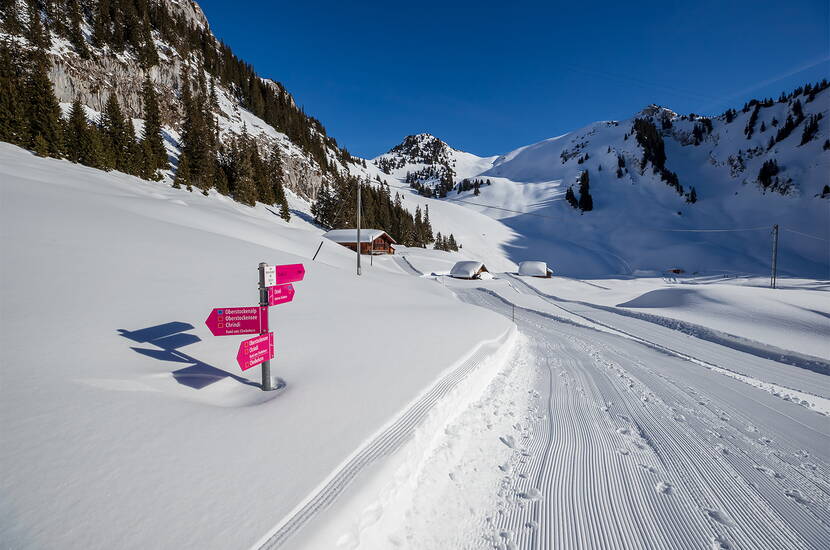 Zoom: Excursion familiale en raquettes à neige au Stockhorn. Pars à la découverte de la région profondément enneigée du Stockhorn en raquettes à neige. Que tu sois seul ou en groupe lors d'une excursion guidée, l'idylle hivernale blanche et scintillante t'enchantera!