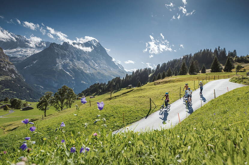 Zoom: Familienausflug Trottibike Bort Grindelwald. In rasanter Fahrt mit den Trottibikes bis hinunter ins Tal. Die Firstbahn bringt Trottibiker bequem von Grindelwald nach Bort. 