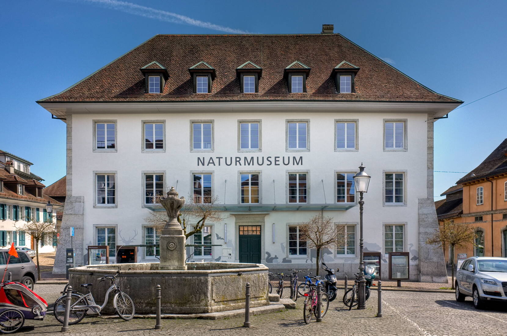 Familienausflug Naturmuseum Solothurn. Das Naturmuseum Solothurn weckt bei seinen Besucherinnen und Besucher Interesse, Begeisterung, Verständnis und Liebe für die Natur.