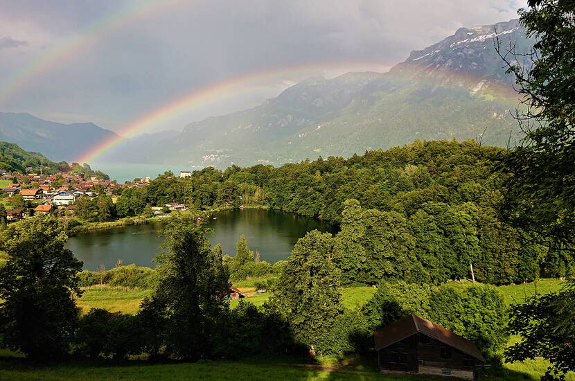 Zoom: Escursione per famiglie alla piscina naturale di Burgseeli a Ringgenberg Goldswil. L'acqua della torbiera, con temperature elevate, rende piacevole il bagno.