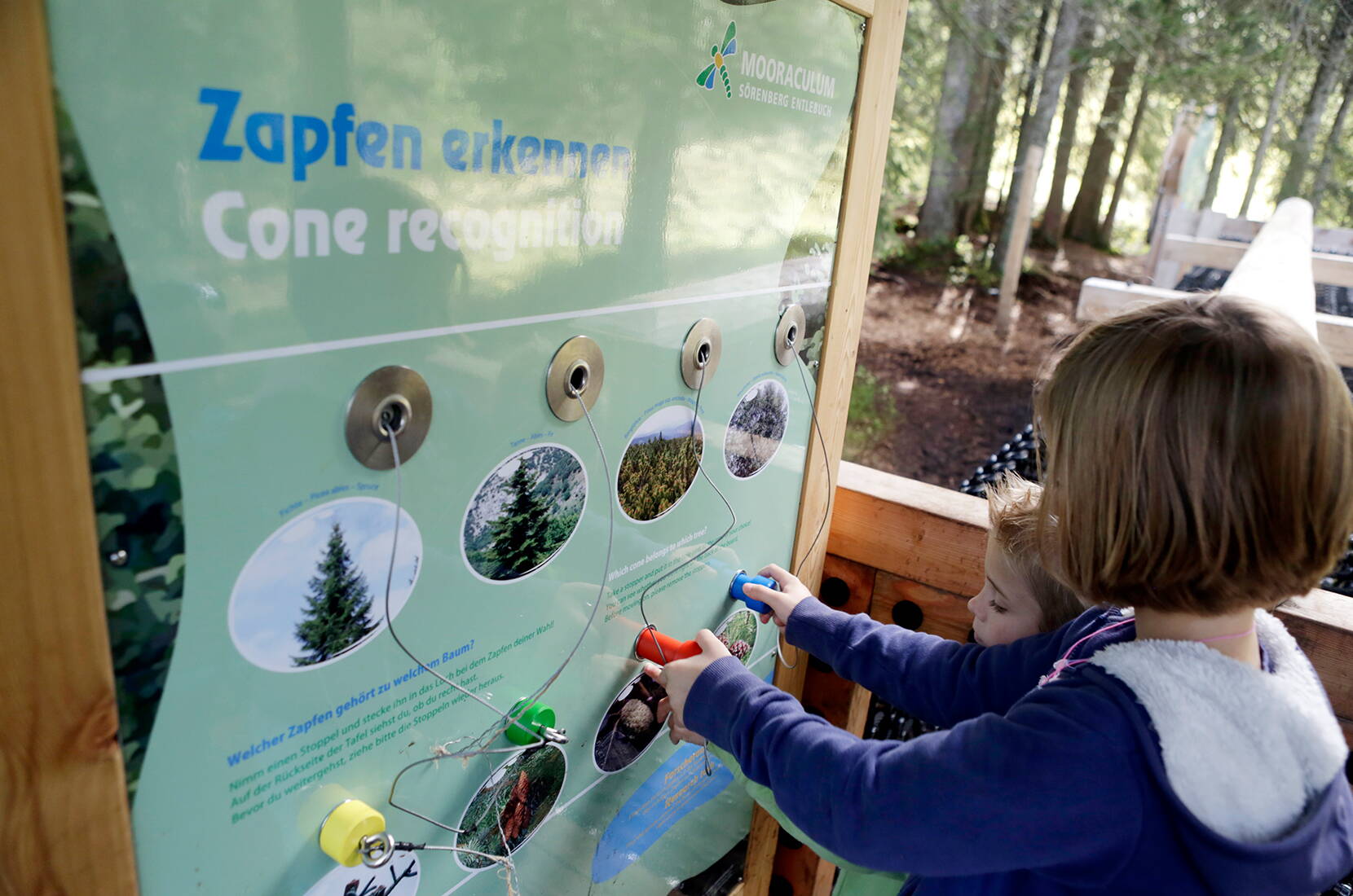 Das Mooraculum ist eröffnet! Familien und Schulklassen finden hier alles, was das Herz begehrt: Teiche mit Wasserspielgeräten, Geschicklichkeitsspiele, Ruheoasen, Picknickstellen – eine eigentliche Traumwelt.