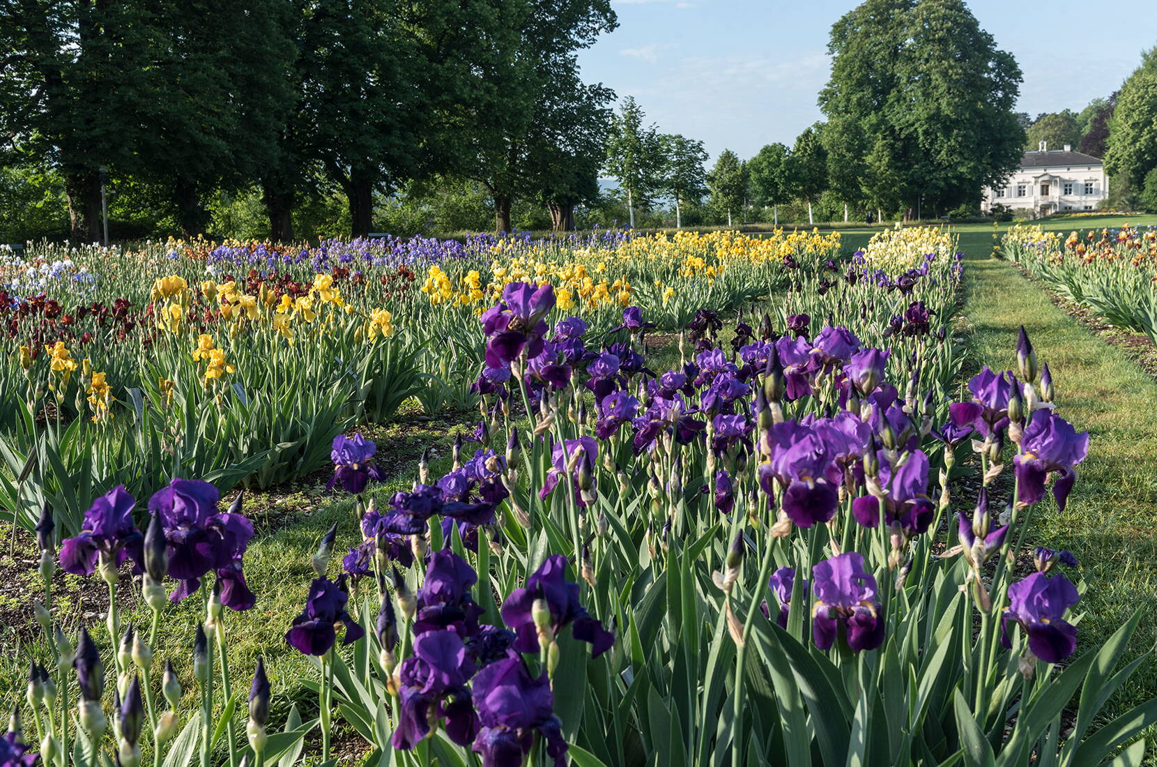 I Giardini Meriani sono un ricco giardino botanico, un parco storico e uno spazio ricreativo progettato con amore, tutto in uno. I musei attirano i visitatori tutto l'anno con i loro fiori lussureggianti, la varietà di piante uniche e le impressionanti collezioni botaniche.