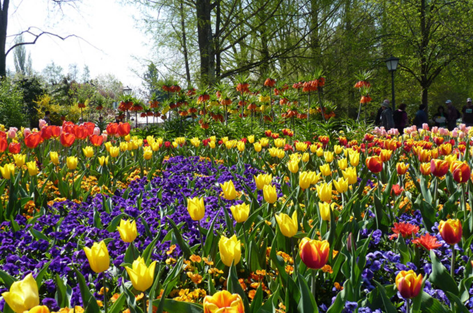 Excursion en famille – L'île de Mainau compte parmi les plus belles îles du monde! Avec un parterre de fleurs changeant, des tulipes aux orchidées, en passant par les pétales de rose et les fleurs de dahlia, l'île est un plaisir pour les yeux du printemps à l'automne!