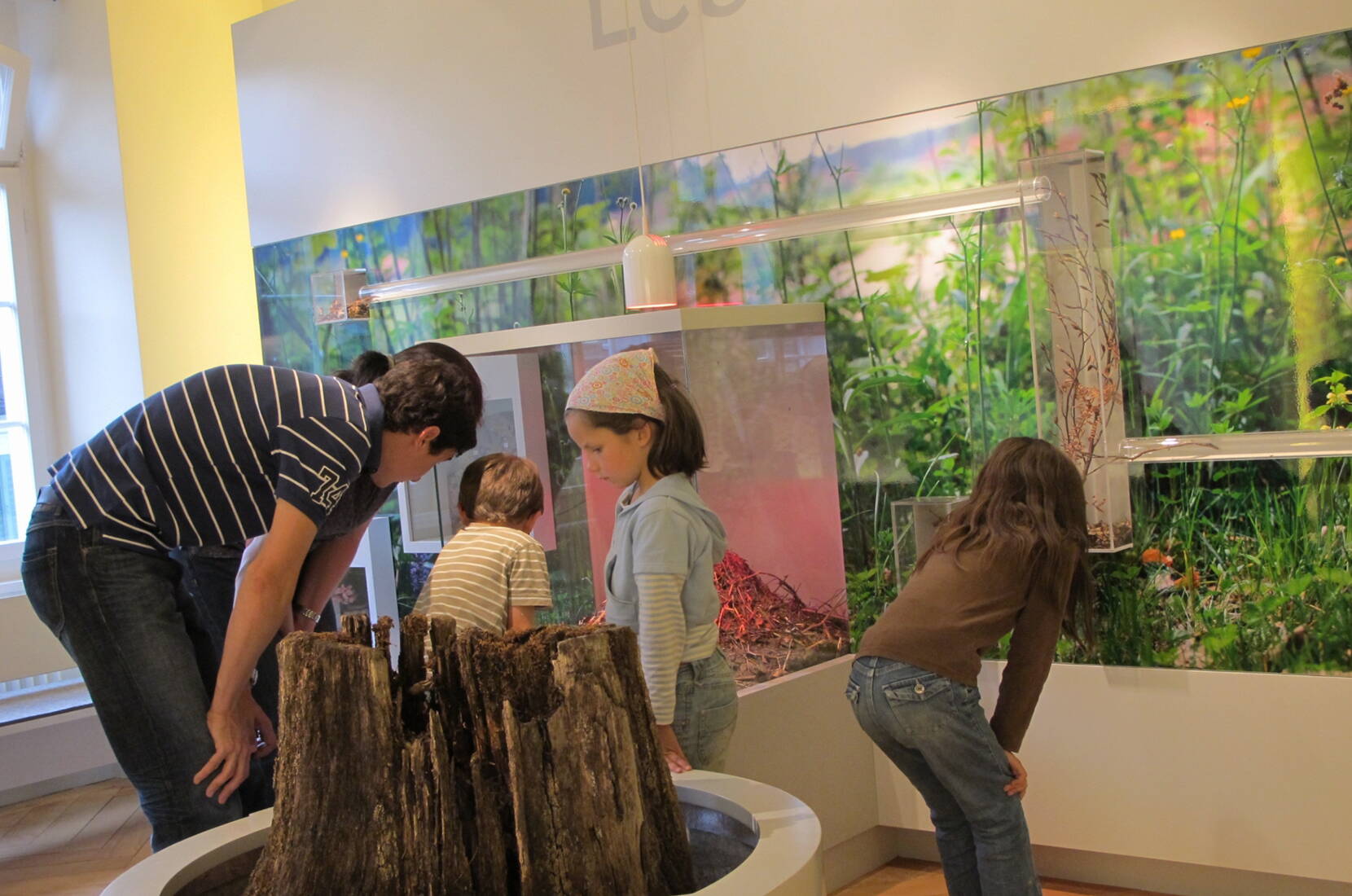 Familienausflug Historisches Museum Thurgau. In lebensechten Darstellungen sind viele einheimische Pflanzen und Tiere zu entdecken. Fossilien lassen längst vergangene Zeiten lebendig werden.