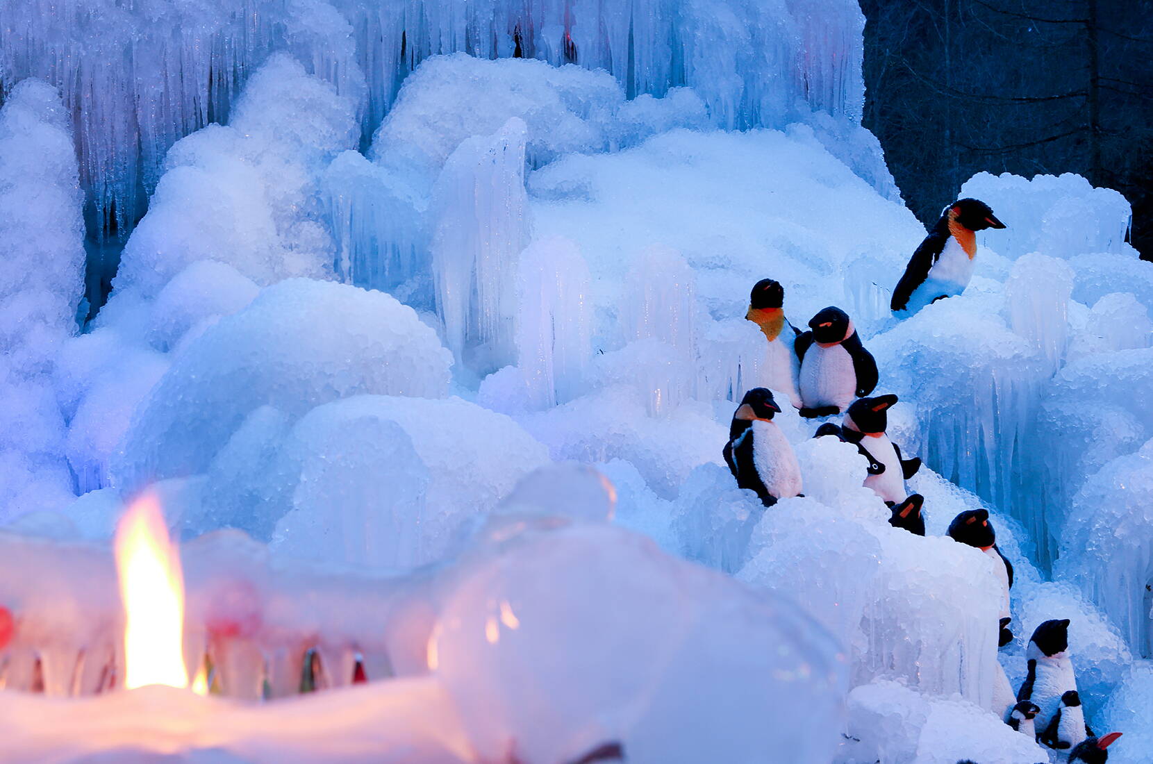 Familienausflug Eispläste Schwarzsee – Erlebe den Winter in seiner schönsten Form. Das eigentliche Spektakel beginnt erst beim Eindunkeln. Schimmernde Lichtfarben beleuchten eindrücklich die verschiedenen Eisgebilde.