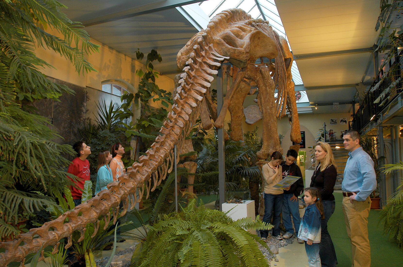 Excursion en famille au musée des dinosaures d'Aathal. Tu y apprendras tout ce que tu as toujours voulu savoir sur les dinosaures. S'il fait beau, il est possible de faire un barbecue et un pique-nique sans problème.