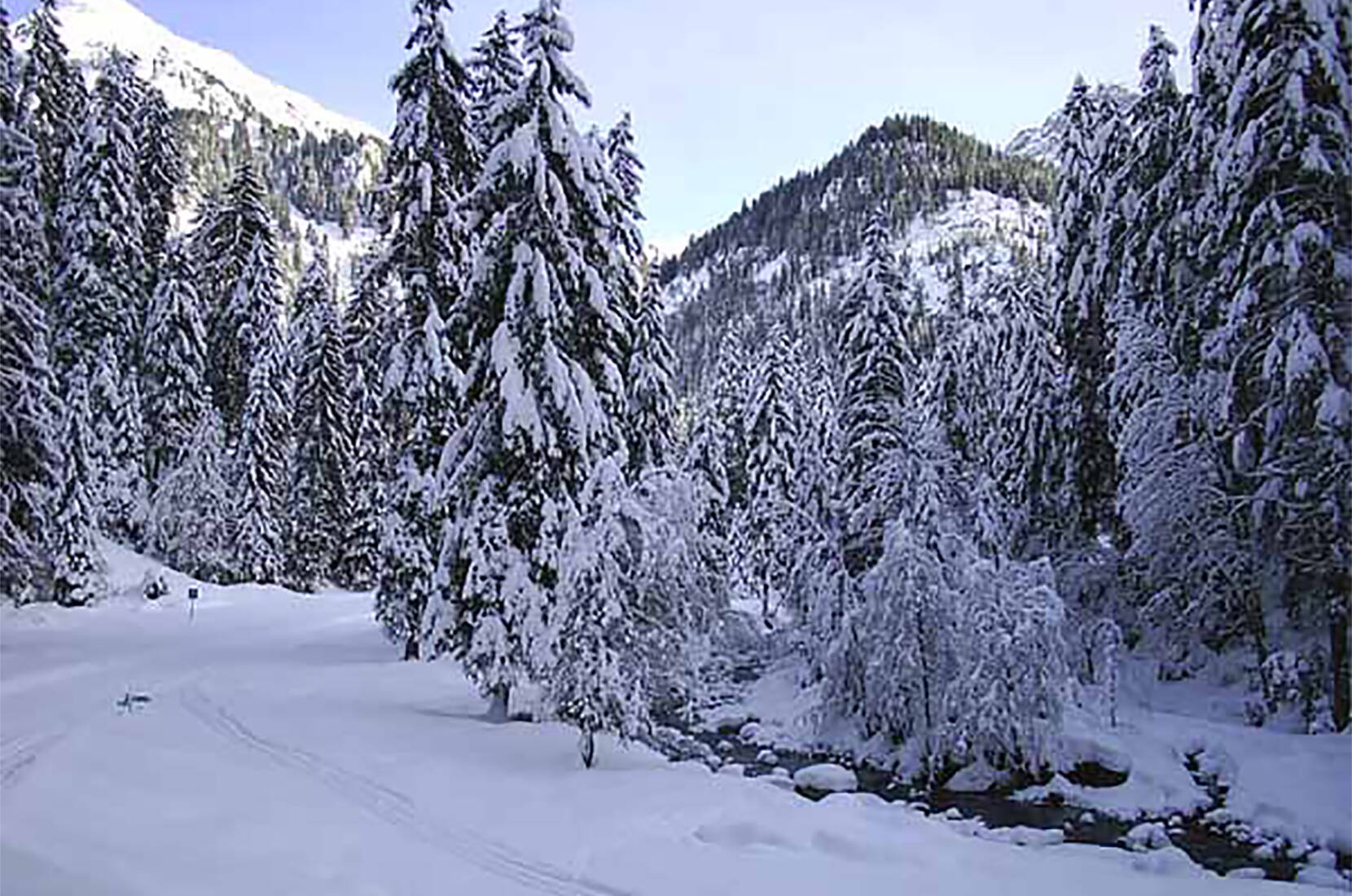 Excursion familiale en ski de fond à Aeschi. Débutants, avancés et spécialistes ont à leur disposition 35 km de pistes de ski de fond classiques et 32 km de pistes de skating d'Aeschi à Suldtal en passant par Aeschiried, ainsi que 2 km de pistes de nuit à Aeschiried.