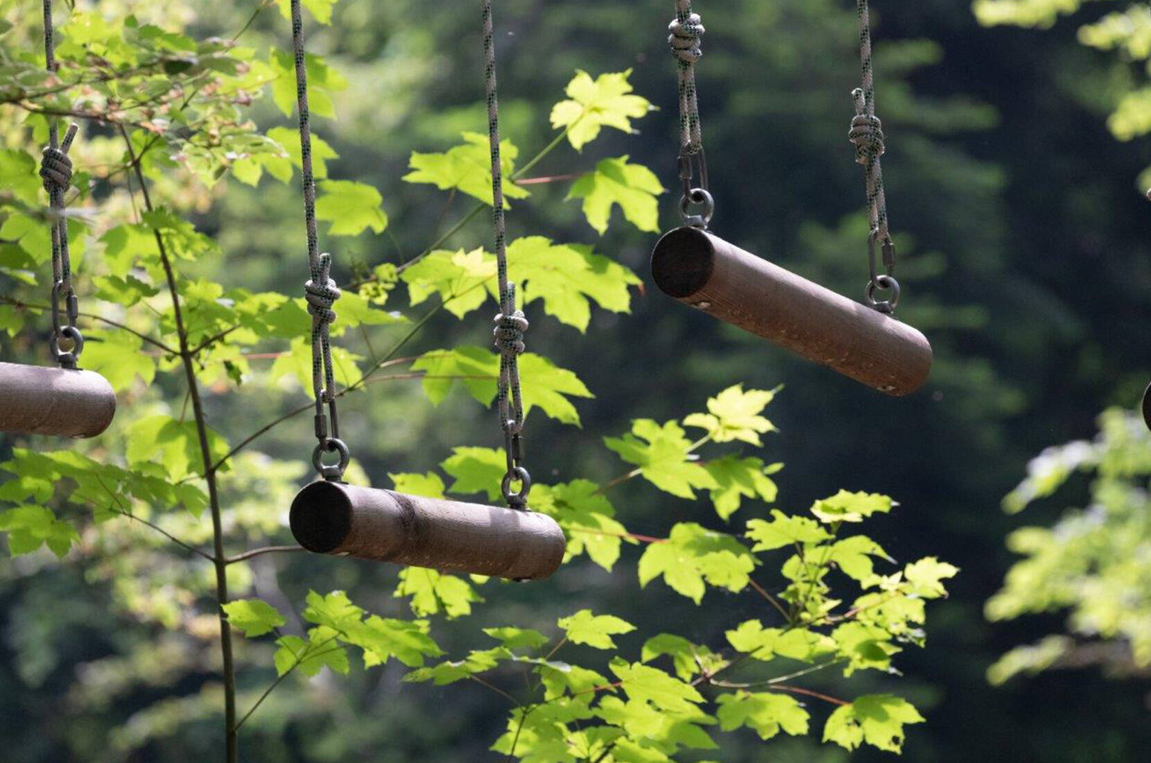 Gita in famiglia Parco avventura di Zurigo. L'unico parco avventura dell'area di Zurigo / Winterthur offre tanto divertimento e azione per tutta la famiglia. La nostra varietà di corsi è adatta sia ai principianti che ai professionisti. Creatività e qualità sono i nostri punti di forza. 