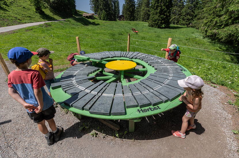 Zoom: Excursion familiale sur le sentier sonore. Ce sentier, en partie accessible aux personnes handicapées, au pied des Churfirsten, mène en plusieurs étapes de l'Alp Sellamatt à Alt St. Johann jusqu'à l'Oberdorf à Wildhaus.