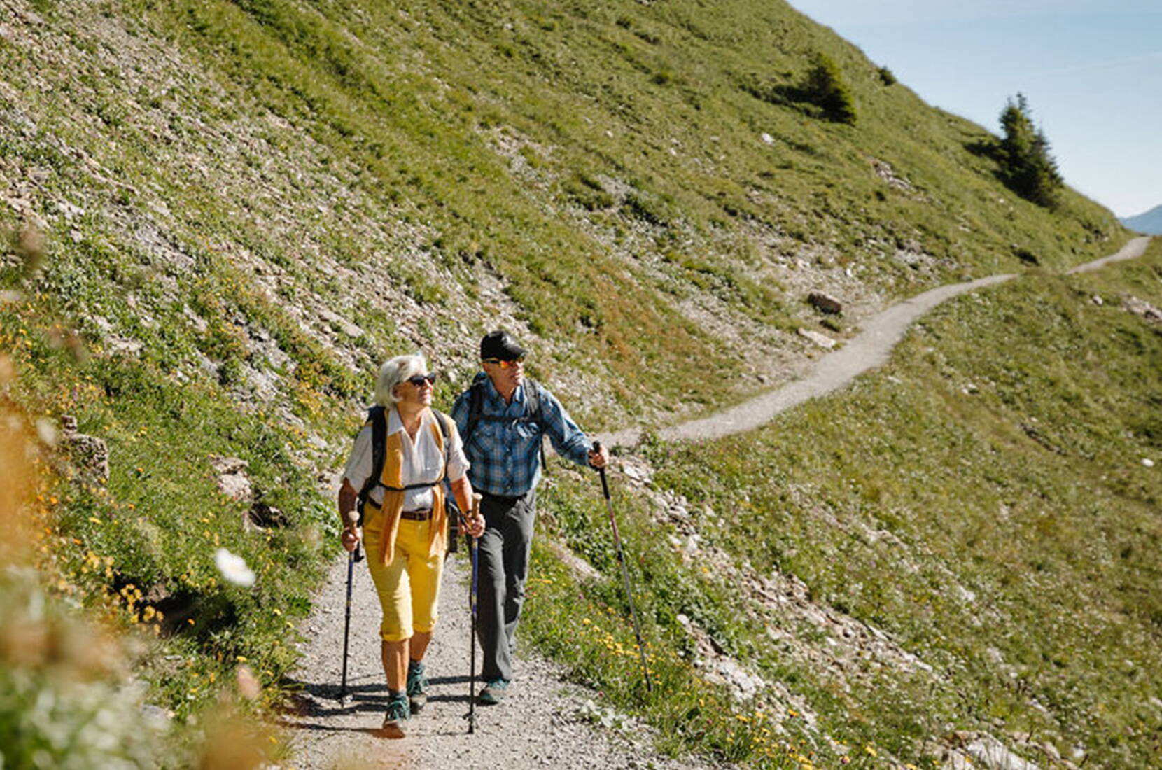 Die Wanderung auf dem Blumenweg ist ein spannendes und lehrreiches Erlebnis am VogellisiBerg.