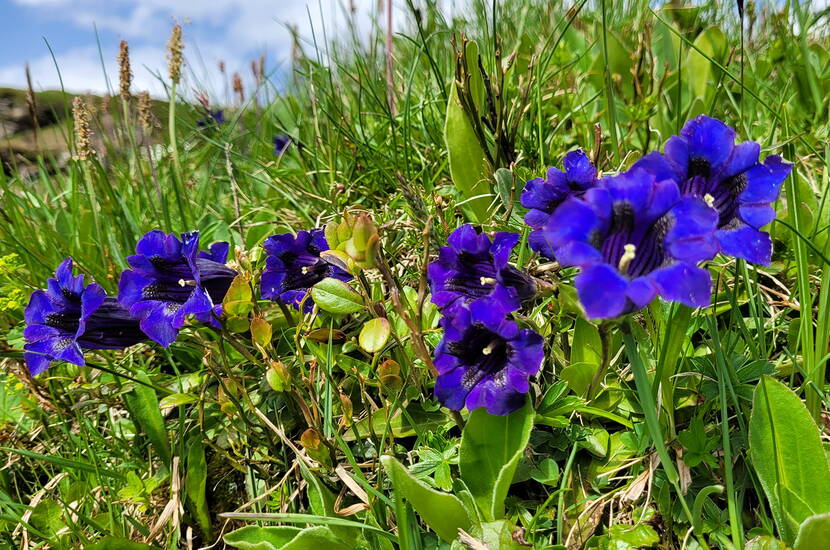 Zoom: Der Rundweg führt in Serpentinen über den Grat und anschliessend auf dem breiten Wanderweg Steinstoss-Leiterli zurück zum Ausgangspunkt.