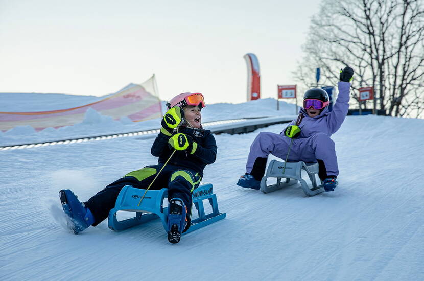 Zoom: Begeisterte Kinder geniessen rasante Schlittelabfahrten auf der familienfreundlichen Piste der Bodmi Arena. Sicherer Winterspass für Anfänger und Familien mit Kindern im Herzen von Grindelwald.