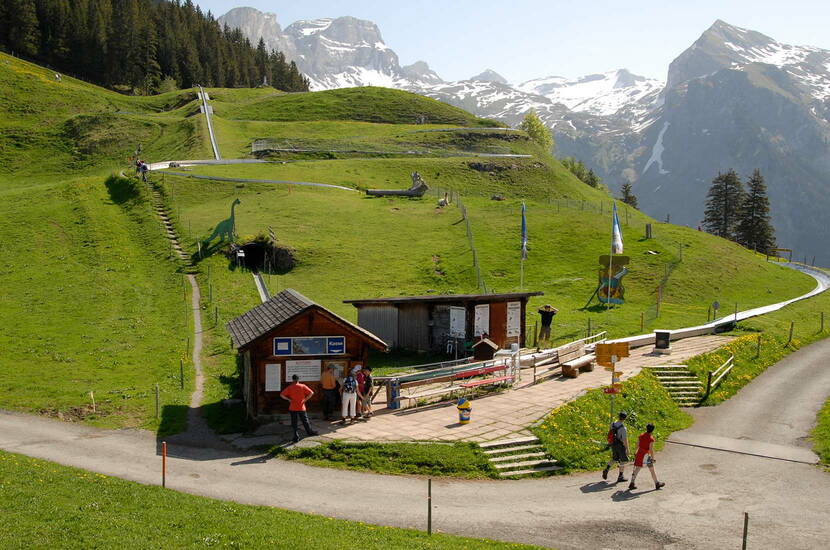 Zoom: Ein Vergnügen für gross und klein ist die Sommerrodelbahn auf Ristis, direkt neben der Bergstation der Luftseilbahn und dem Bergrestaurant Ristis auf 1600 müM. gelegen. Ihr besonderes Merkmal liegt in der Einbettung in eine herrliche Landschaft inmitten blühender Alpenblumen und einem wunderschönen Bergpanorama.