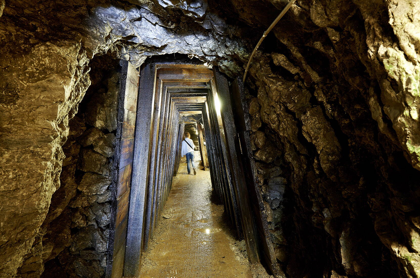 Escursione per famiglie alle Miniere di sale di Bex. Tornate indietro nel tempo e seguite le orme dei minatori alla ricerca dell'«oro bianco». Scoprite le impressionanti imprese che i nostri antenati hanno compiuto interamente a mano nell'ultima miniera di sale ancora in funzione in Svizzera.