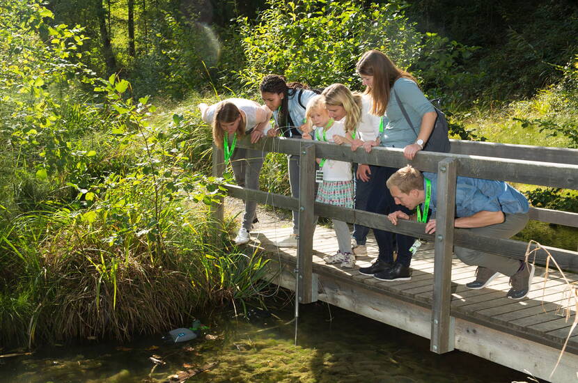 Zoom: Escursione Foxtrail per famiglie a Winterthur. Volete vedere una città con occhi diversi e vivere insieme un'esperienza speciale? Poi andate in città e inseguite la volpe. Il percorso conduce alle curve più emozionanti e alle sorprese più frequenti.