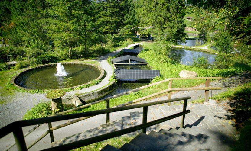 Zoom: Excursion familiale au parc naturel et animalier du Blausee. Un lac limpide, niché dans un imposant paysage naturel – le Blausee. Des restaurants, des aires de barbecue, une superbe aire de jeux, l'élevage de truites, la forêt de rondins et un tour en bateau à fond de verre. 