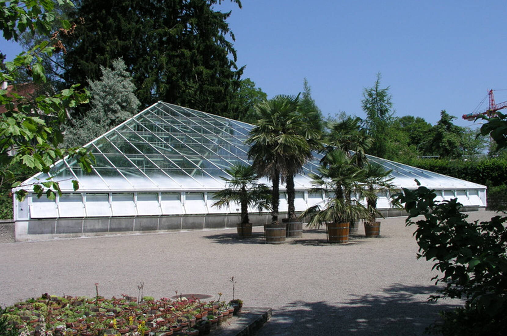 Familienausflug Botanischer Garten St. Gallen. Im Botanischen Garten leben rund 8000 verschiedene Pflanzenarten aus aller Welt in rund 20 verschiedenen Abteilungen. Die Freilandanlagen sind nach der geografischen Herkunft, ihrer Nutzung und nach schulischen Gesichtspunkten angelegt.