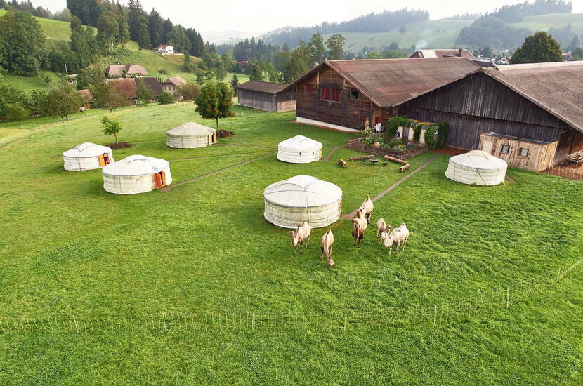 Zoom: Familienausflug Jurtenübernachtung – Preisgünstig übernachten, Romantik verspüren und das einfache Leben in der Natur geniessen.