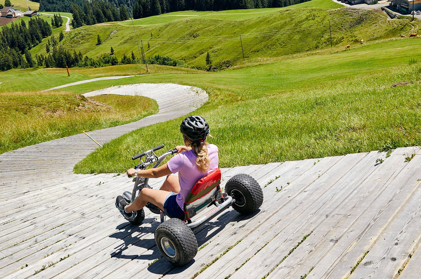 Familienausflug Marbachegg. Mit den Marbachegg-Carts ist Spass und Abenteuer für die ganze Familie programmiert!