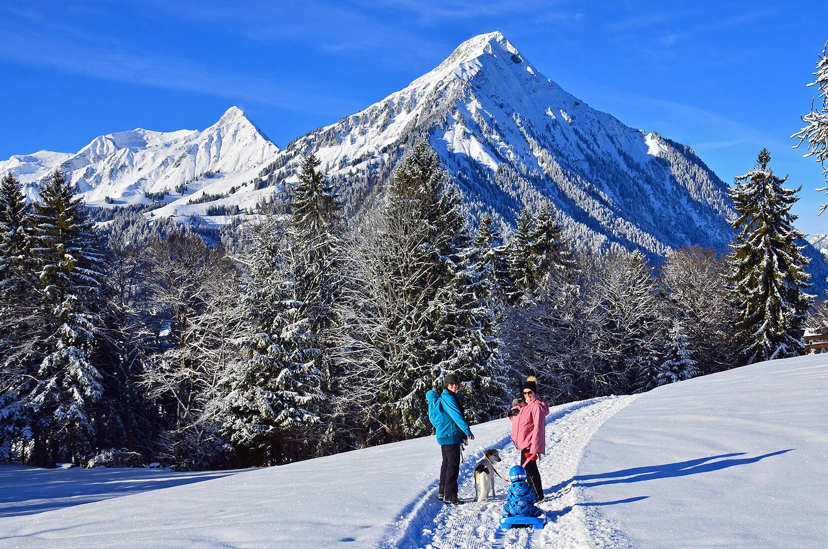 Familienausflug Winterwandern Aeschi. Über 20 km gespurte/präparierte und signalisierte Winterwanderwege mit herrlicher Aussicht stehen in und um Aeschi zur Verfügung. Zahlreiche Restaurants laden unterwegs zum Aufwärmen ein.