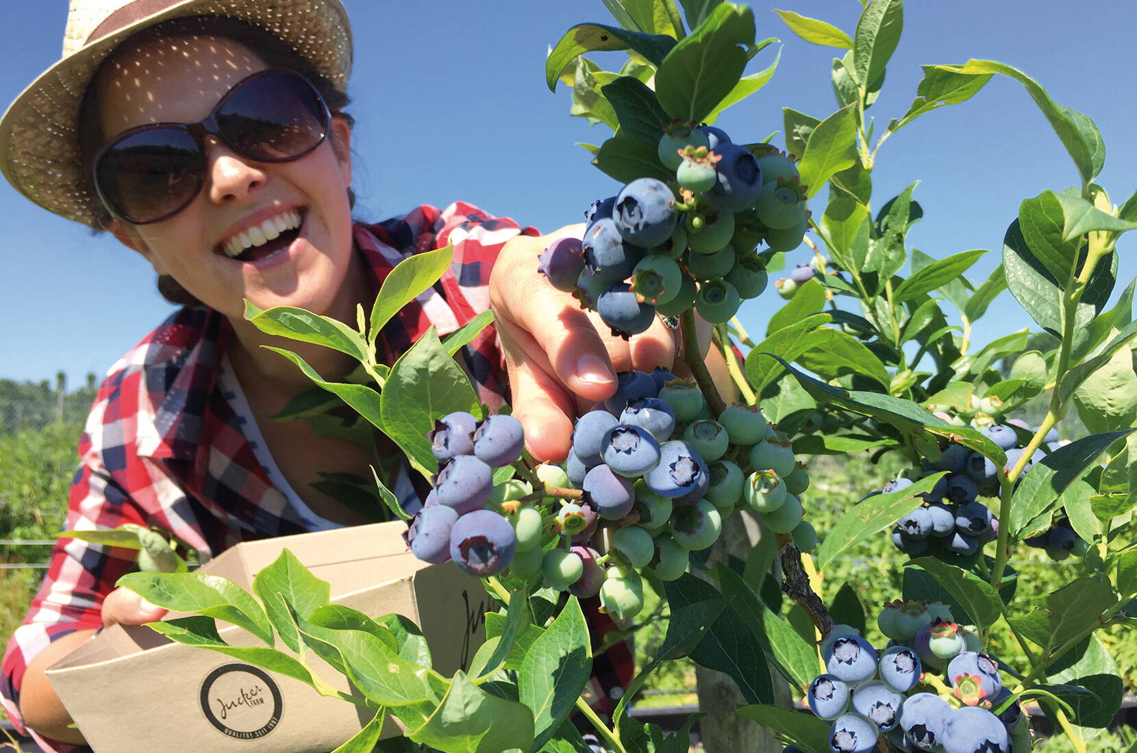 Familienausflug Bächlihof Jona. Der Obstbauernhof bietet einen grossen Naturspielplatz, eine Strohburg und einen Geisslipark zum Streicheln. Am Feuer können Würste und Schlangenbrot (im Hofladenrestaurant erhältlich) gebrätelt werden.