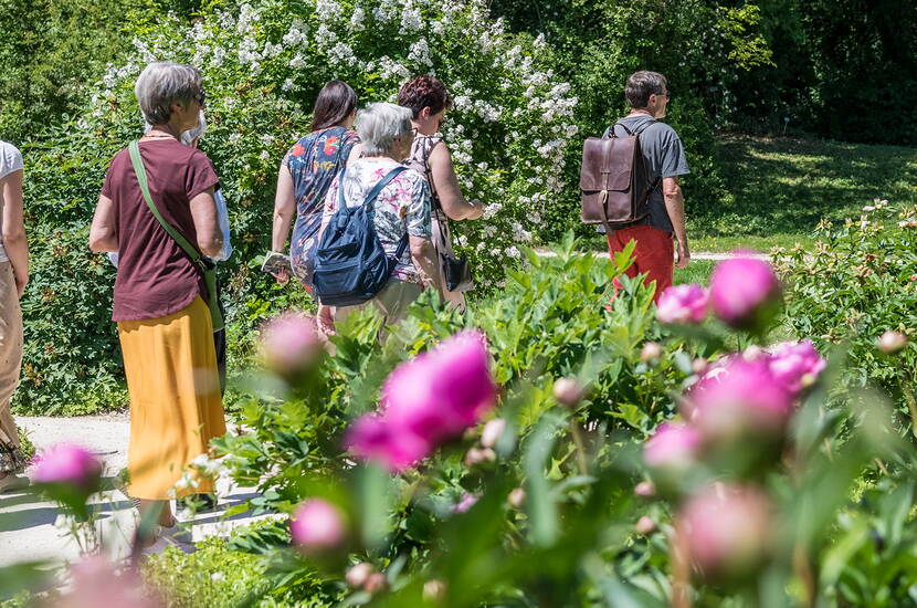 I Giardini Meriani sono un ricco giardino botanico, un parco storico e uno spazio ricreativo progettato con amore, tutto in uno. I musei attirano i visitatori tutto l'anno con i loro fiori lussureggianti, la varietà di piante uniche e le impressionanti collezioni botaniche.