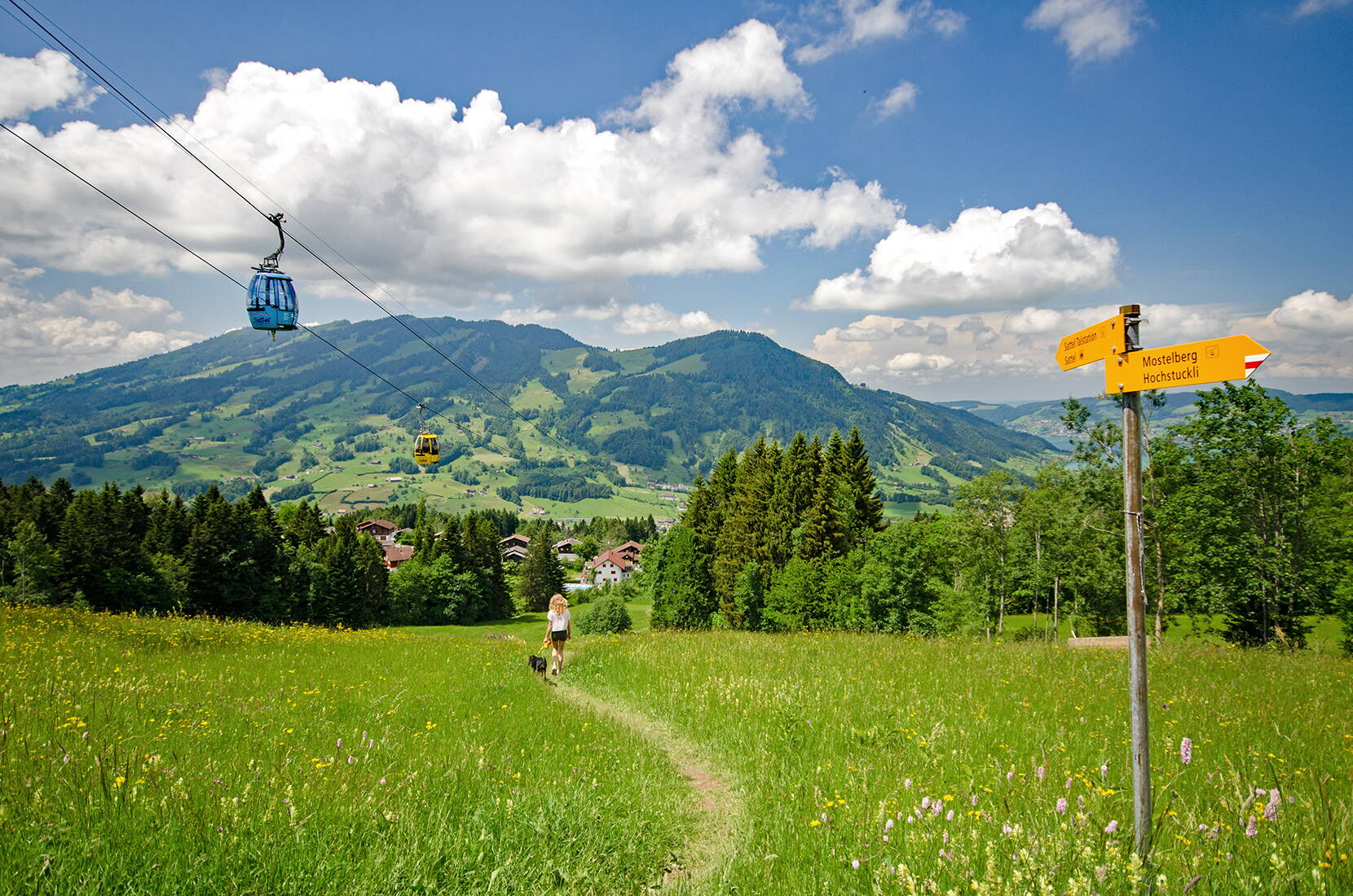 Es erwarten euch eine Hüpfburganlage, kurvige Sommerrodelbahn, flotte Tubinganlage, Hängebrücke und diverse Rundwanderwege. Das RUNDum tolle Sommererlebnis!