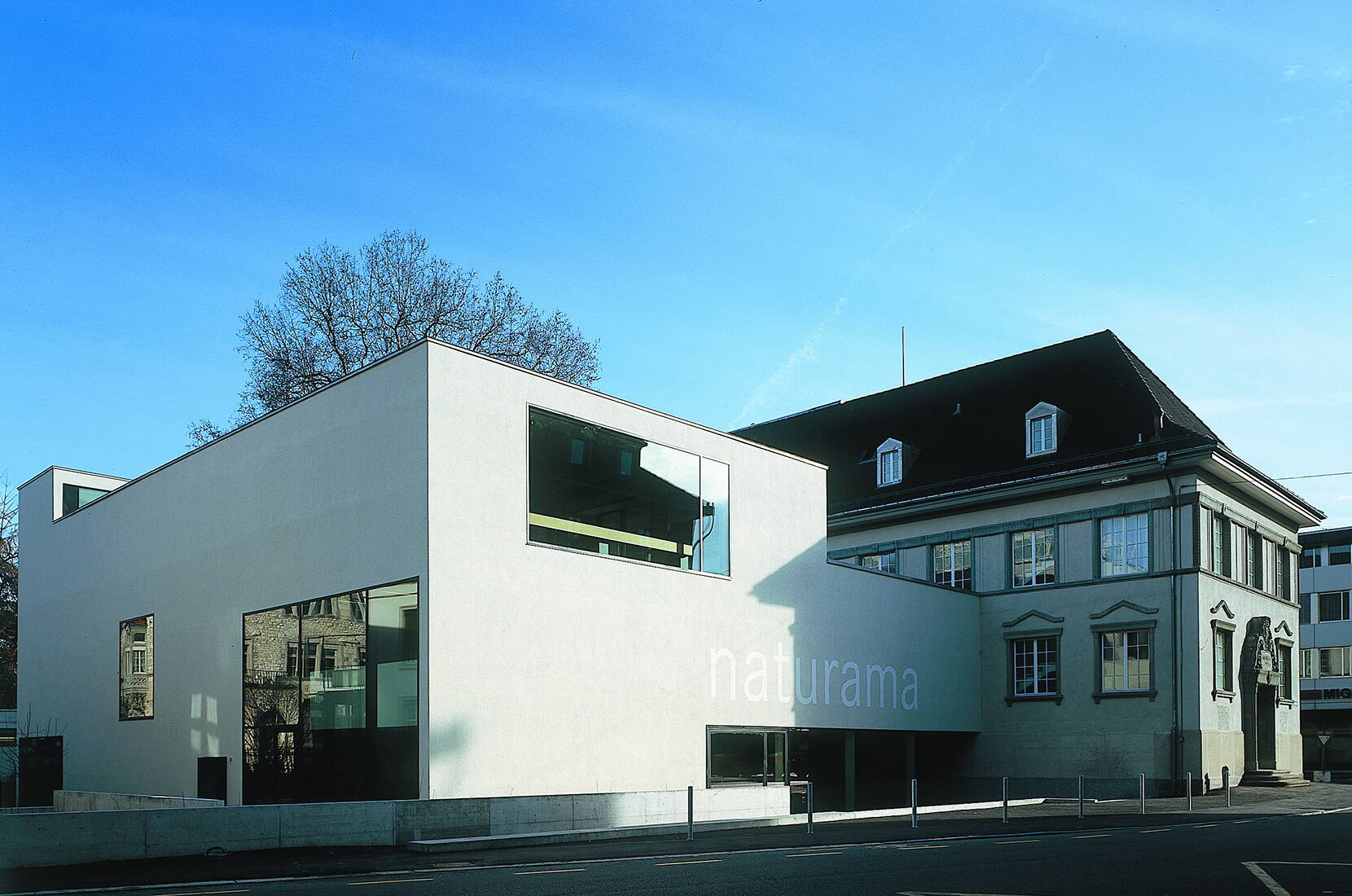 Ausflugsziele Mittelland - Familienausflug Naturama Aarau. Durchstreife die kunstvoll nachgebildeten Lebensräume, wo Zwergmäuse durch die Auenlandschaft wuseln, Ameisen auf dem Waldboden krabbeln und Grillen im überdimensionierten Wiesendschungel zirpen. Eine Zeitreise – Vergangenheit, Gegenwart & Zukunft.