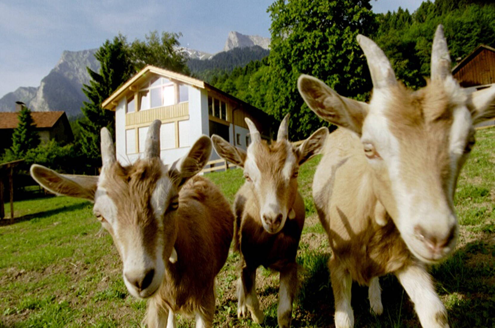 Excursion en famille – la première étape du sentier Heidi mène de la gare de Maienfeld à Heidi, dans le village Heidi, en passant par la petite ville historique de Maienfeld et les vignobles.