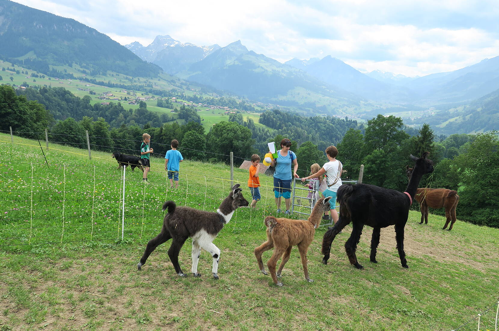 Excursion familiale chasse au trésor Aeschi. Cette expérience est destinée à toute la famille! Trouvez le chemin grâce à la description du parcours, profitez de la vue magnifique et toujours changeante et répondez à des questions simples ou plus épineuses le long du parcours. Le divertissement est garanti lors de cette excursion!