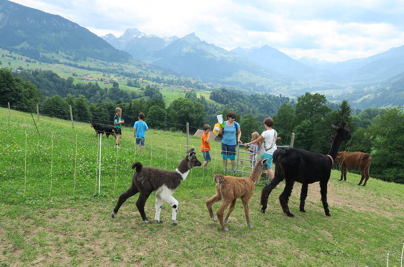 Zoom: Excursion familiale chasse au trésor Aeschi. Cette expérience est destinée à toute la famille! Trouvez le chemin grâce à la description du parcours, profitez de la vue magnifique et toujours changeante et répondez à des questions simples ou plus épineuses le long du parcours. Le divertissement est garanti lors de cette excursion!