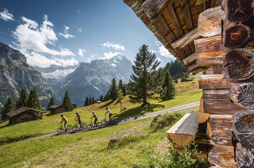 Zoom: Familienausflug Trottibike Bort Grindelwald. In rasanter Fahrt mit den Trottibikes bis hinunter ins Tal. Die Firstbahn bringt Trottibiker bequem von Grindelwald nach Bort. 