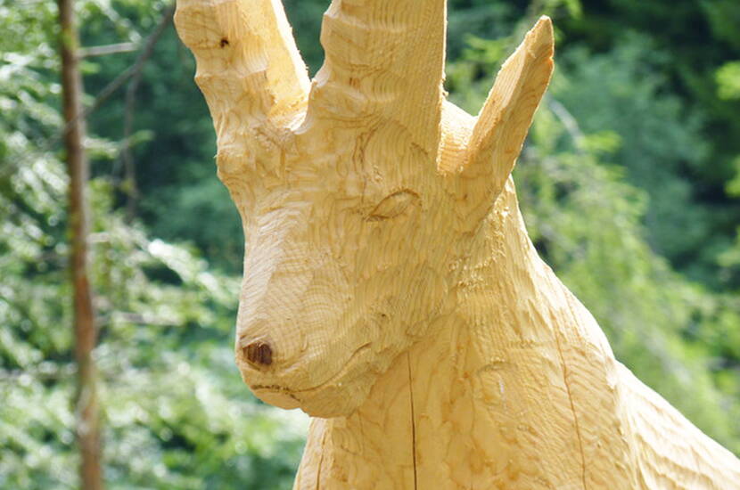 Zoom: Tra Frutigen e Adelboden si trova uno dei ponti sospesi pedonali più lunghi d'Europa. Tutto intorno ci sono escursioni di varia lunghezza. Il percorso delle sculture in legno è particolarmente indicato per i bambini più piccoli.