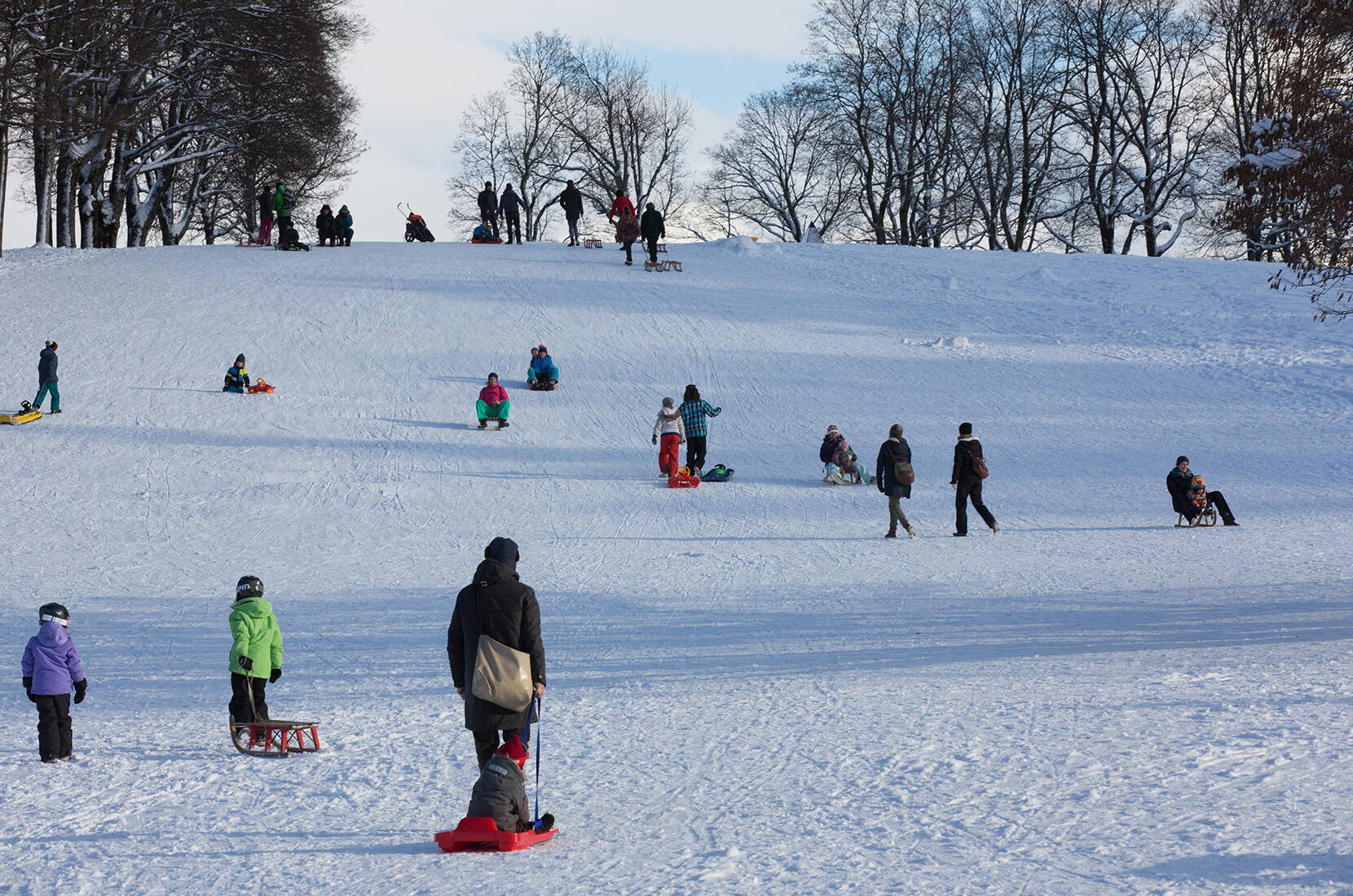 Escursione per famiglie a Berna: se la neve è sufficiente, è possibile andare in slitta sulla montagna locale di Berna, il Gurten.